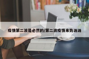 疫情第二波是必然的/第二波疫情来势汹汹