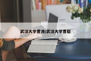武汉大学曹涛/武汉大学曹聪